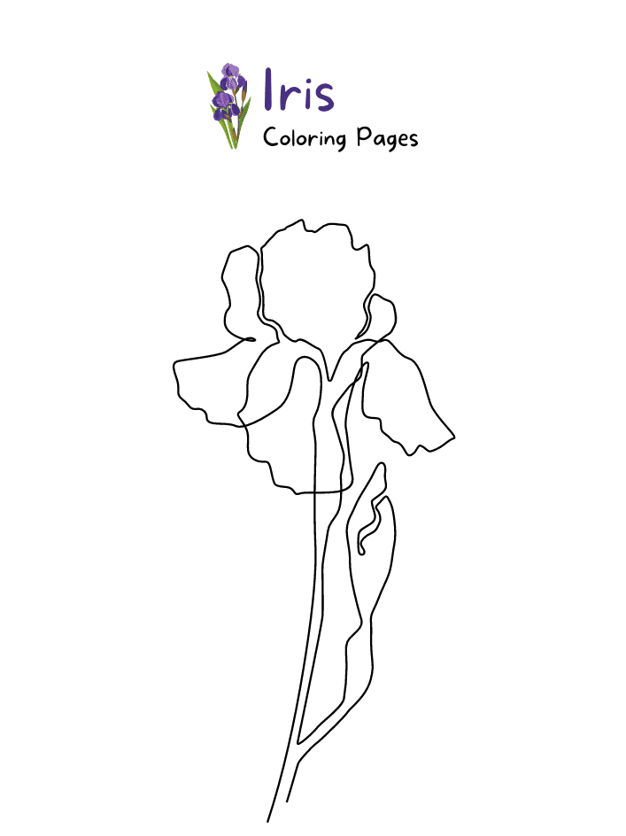 Iris Artistic Coloring Page