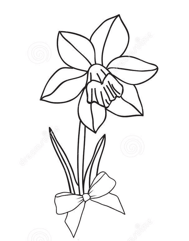 Iris Flower Picture