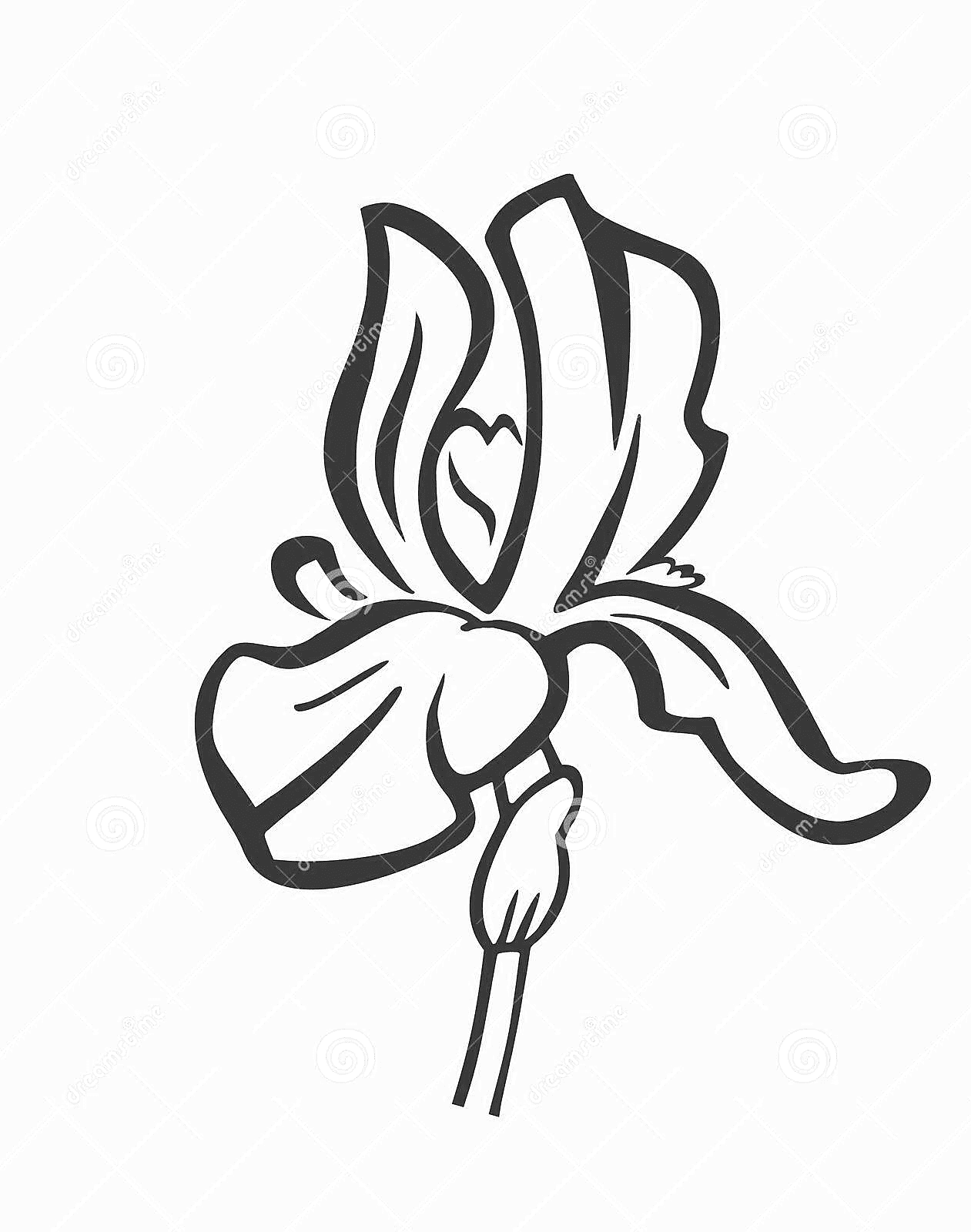 Iris Flower Psychedelic