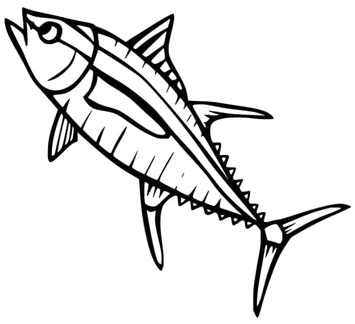 Jumping Albacore Tuna Coloring Page
