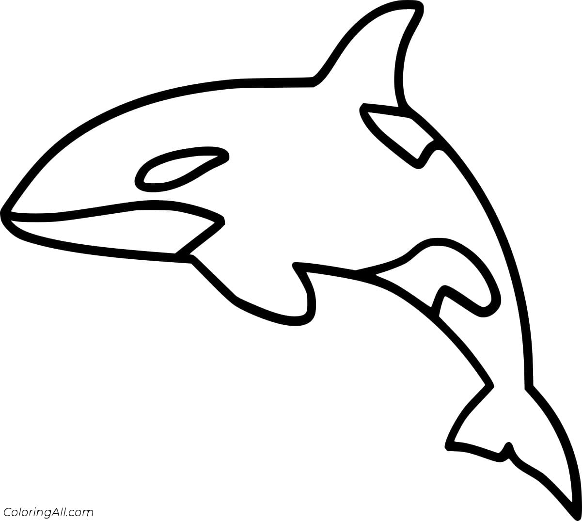 Killer Whale Outline Coloring For Kids Coloring Page