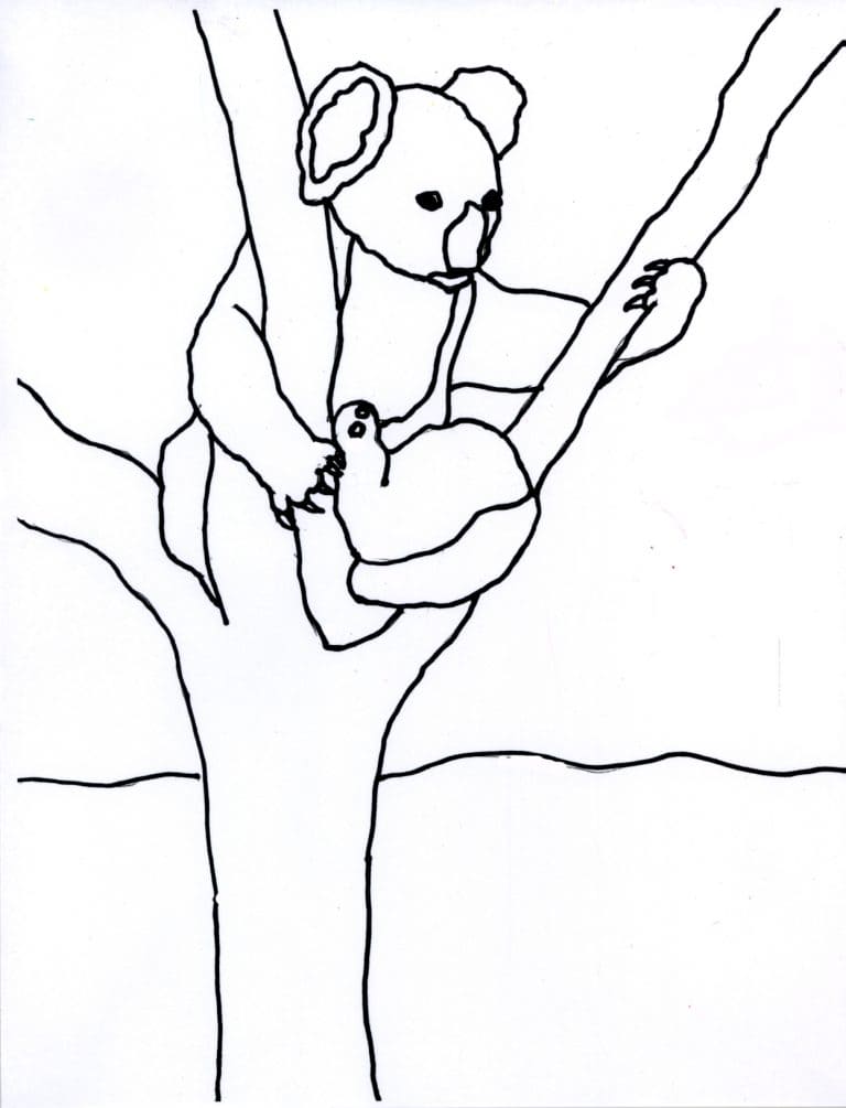 Koala Coloring Pages Pictures