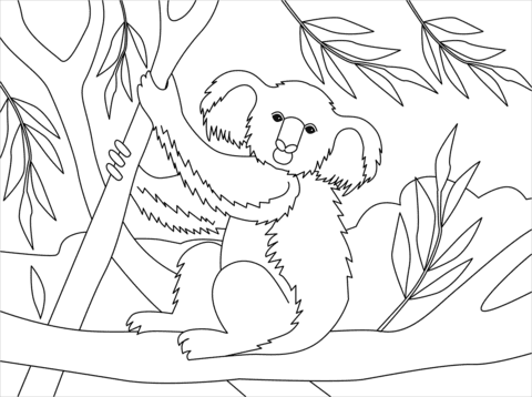 Koala Cute Printable Image For Kids