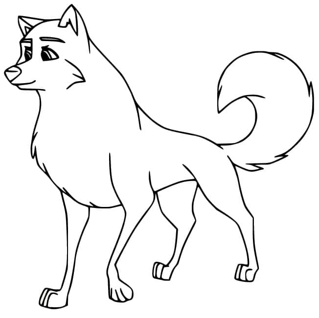Kodi Wolfdog Picture