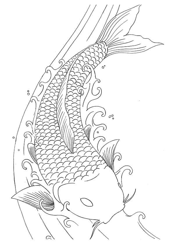 Koi Fish Cute Image Coloring Page