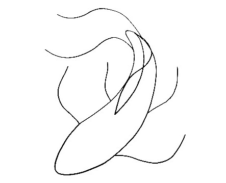 Koi Fish-Drawing-3