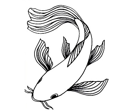 Koi Fish-Drawing-6