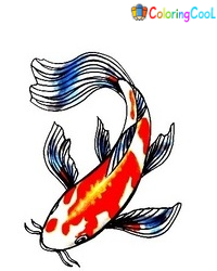 7 Simple Steps To Create A Nice Koi Fish Drawing – How to Draw a Koi Fish