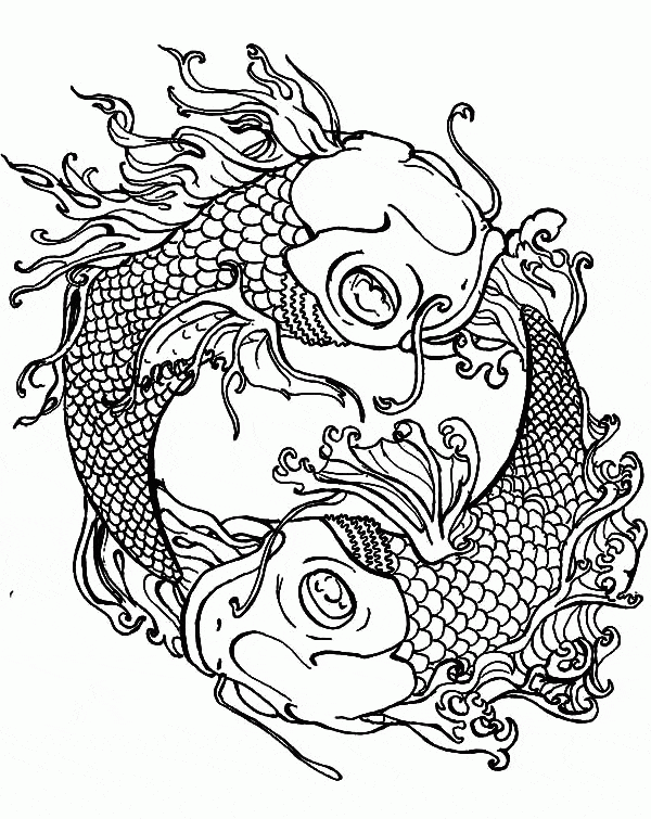 Koi Fish Eye-popping Coloring Page