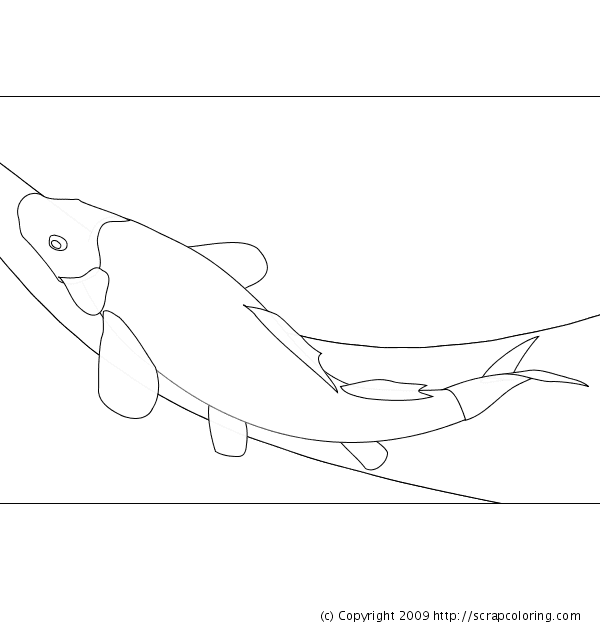 Koi Fish For Children Coloring Page