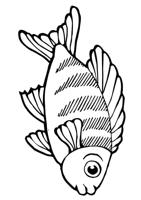 Koi Fish Large Eyes Coloring Page