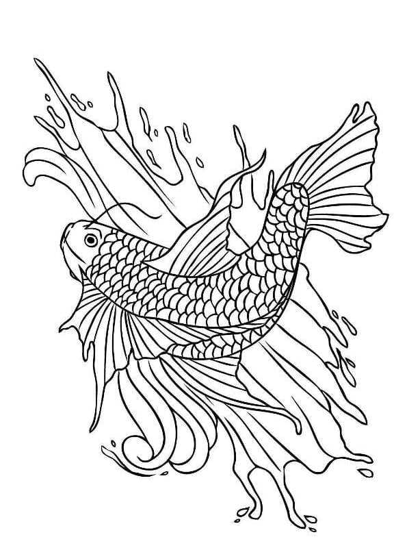 Koi Fish Marvelous Coloring Page