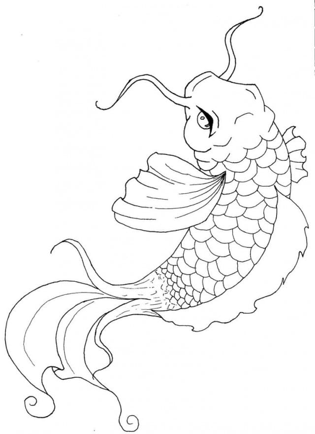 Koi Fish Resplendent Coloring Page