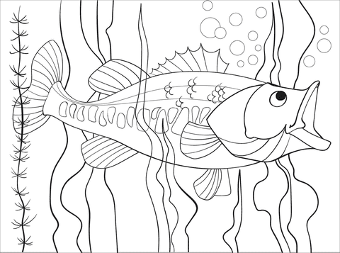 Largemouth Bass Cute Image Coloring Page