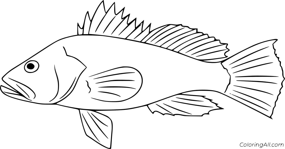 Largemouth Bass Image For Kids