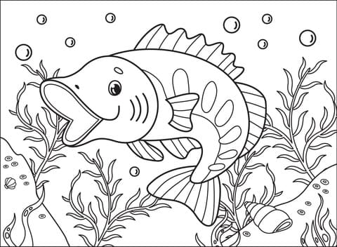 Largemouth Bass Image Coloring Page