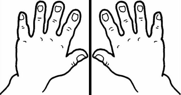 Left and Right Hand Image