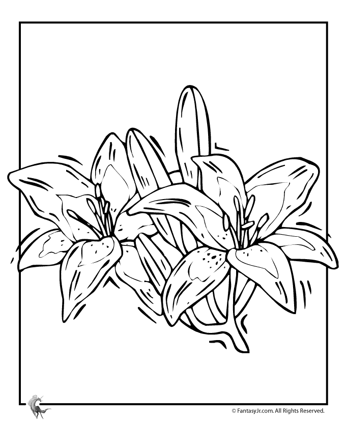 Lego Lily Coloring Printable Coloring Page