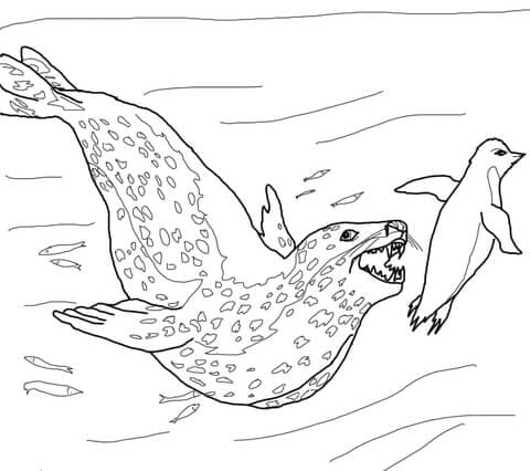 Leopard Seal Chasing Penguin Coloring Page