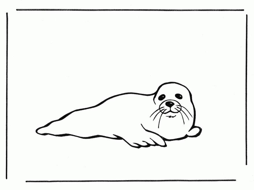 Leopard Seal Coloring Page