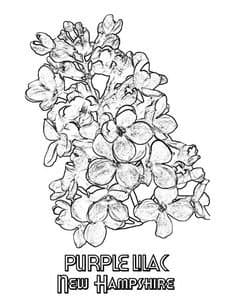 Lilac Flowers And Birds Coloring Page