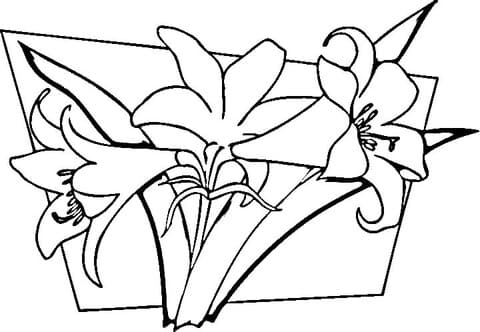 Lilies Free Image Coloring Page