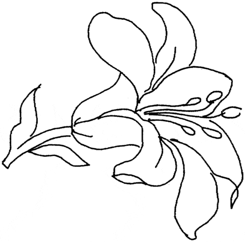 Lily Cute Free Printable For Kids Coloring Page