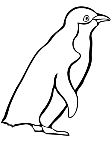 Little Blue Penguin Image Coloring Page