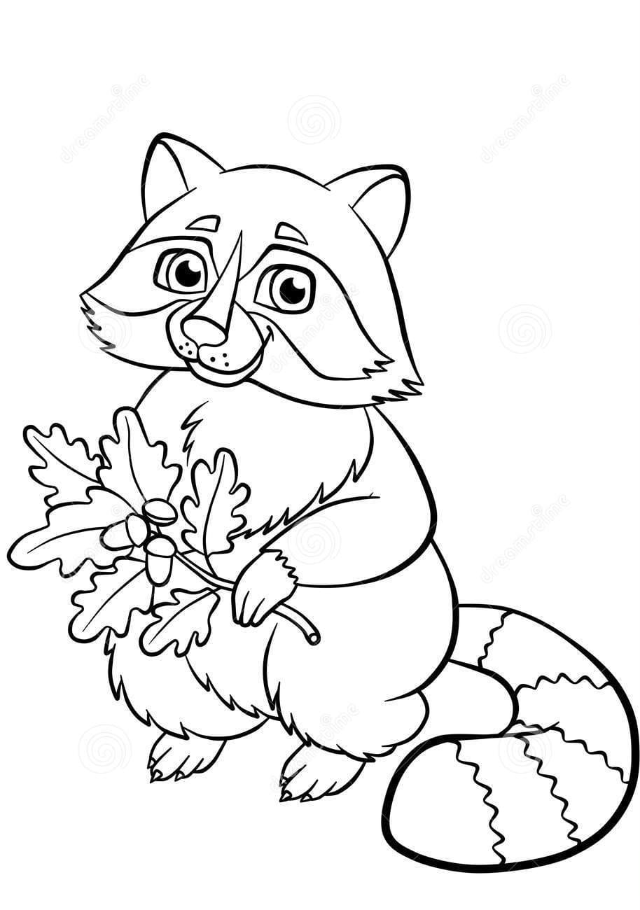 Little Cute Kind Raccoon In The Forest Coloring Page