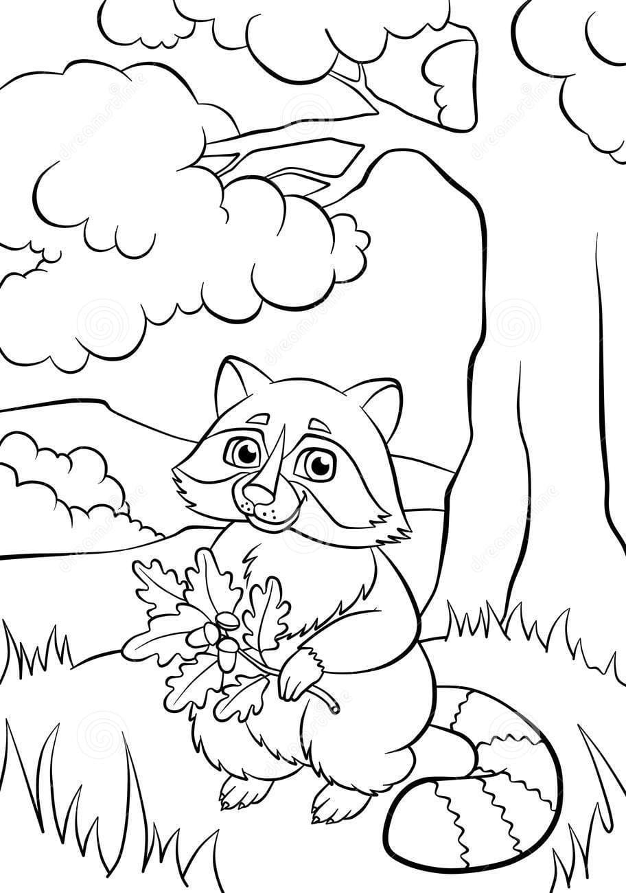 Little Kind Cute Raccoon In The Forest Coloring Page