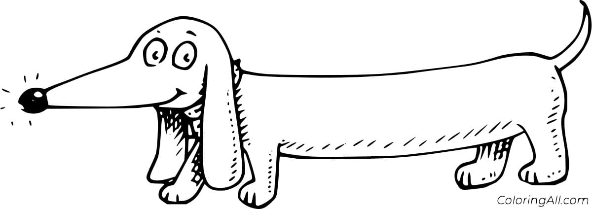 Long Dachshund Free Printable Coloring Page