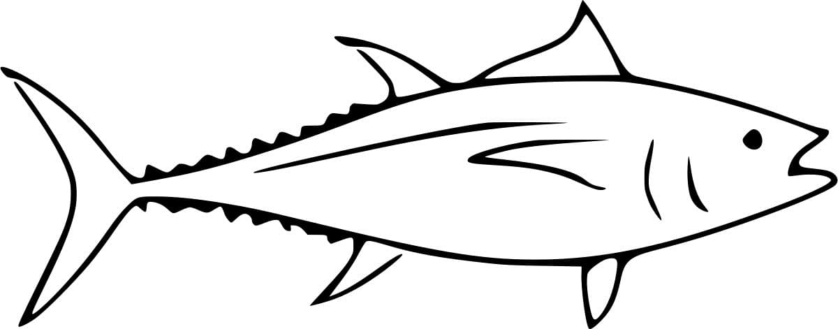 Longtail Tuna Coloring Page