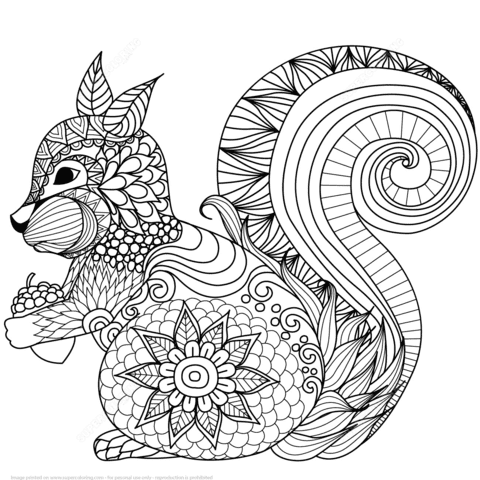 Lovely Squirrel Zentangle Coloring Page