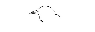 Mockingbird-Drawing-1