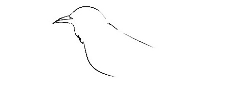 Mockingbird-Drawing-2