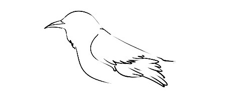 Mockingbird-Drawing-3