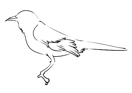 Mockingbird-Drawing-5
