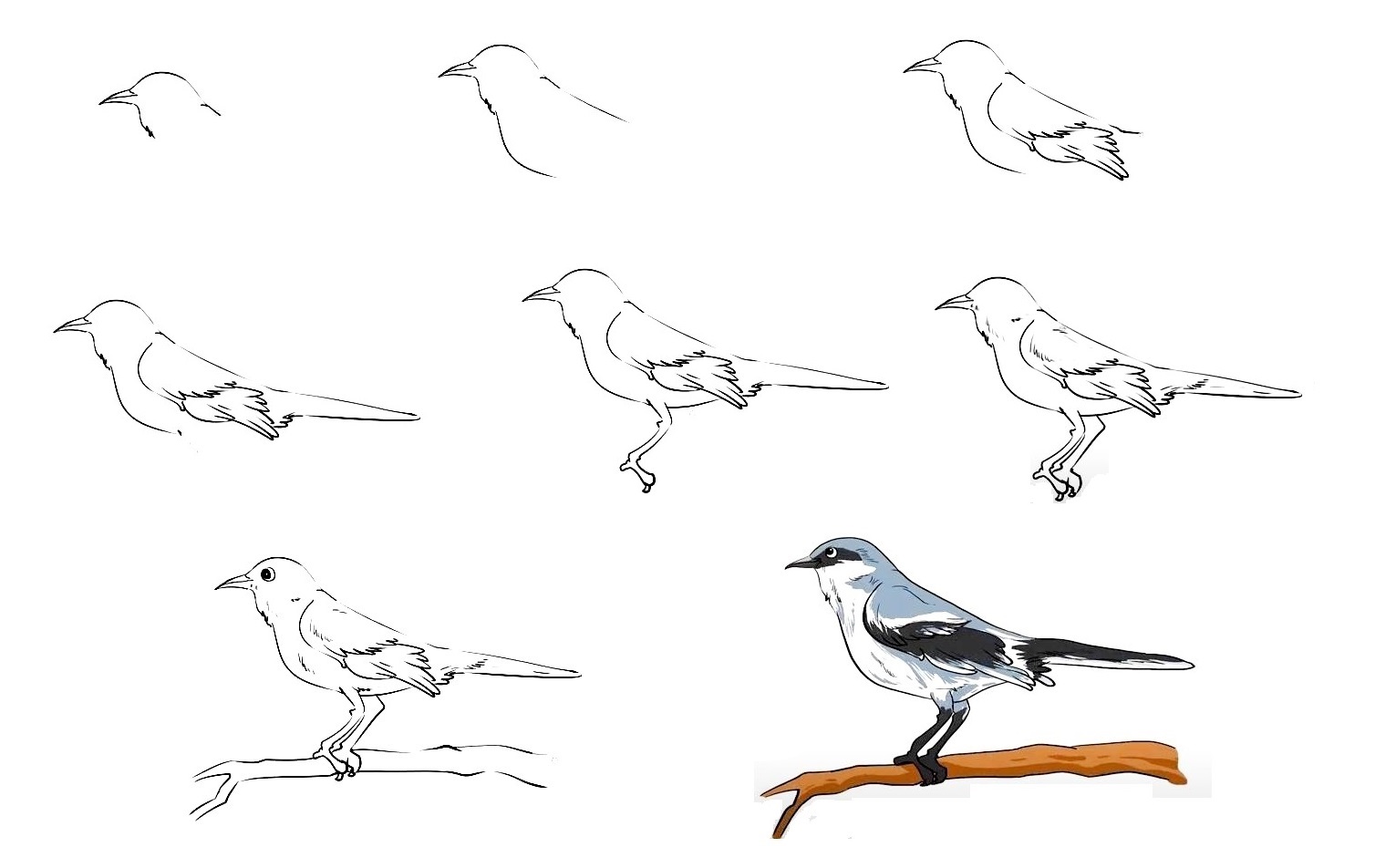 Mockingbird-Drawing