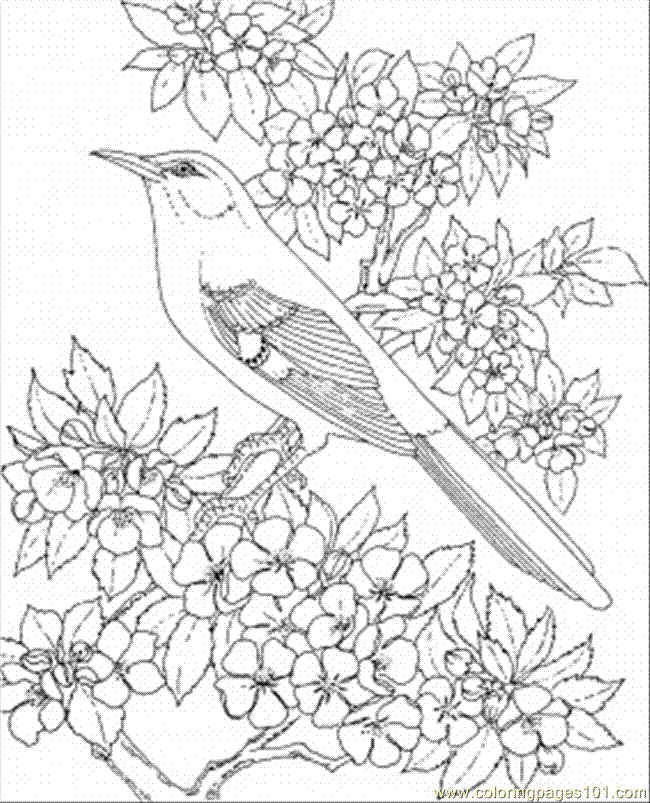 New Mockingbird Coloring Page