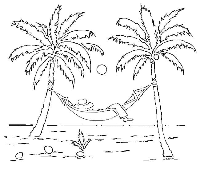 Nice-looking Palm Tree Coloring Page