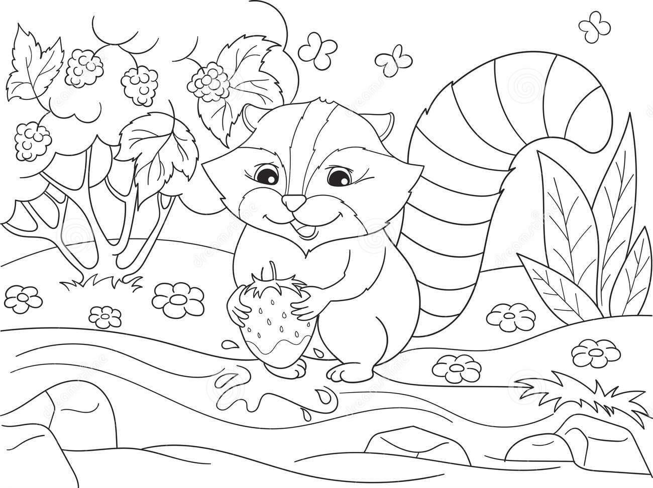 Northern Raccoon And Coon Washes Strawberries Coloring Page
