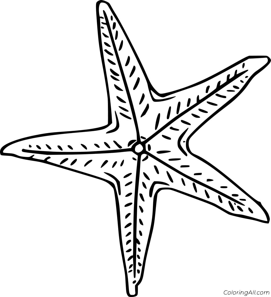 Морская звезда схематично