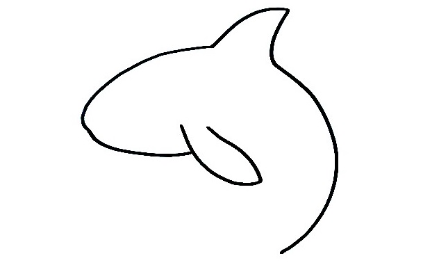 Orca-Drawing-2