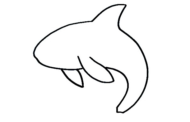 Orca-Drawing-3