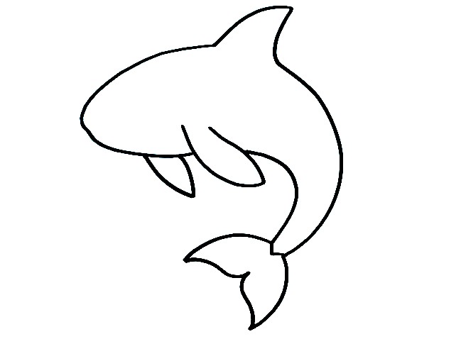 Orca-Drawing-4