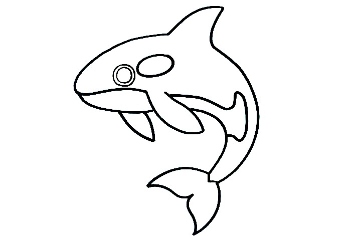 Orca-Drawing-5