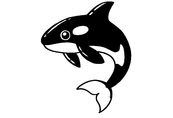 Orca-Drawing-6