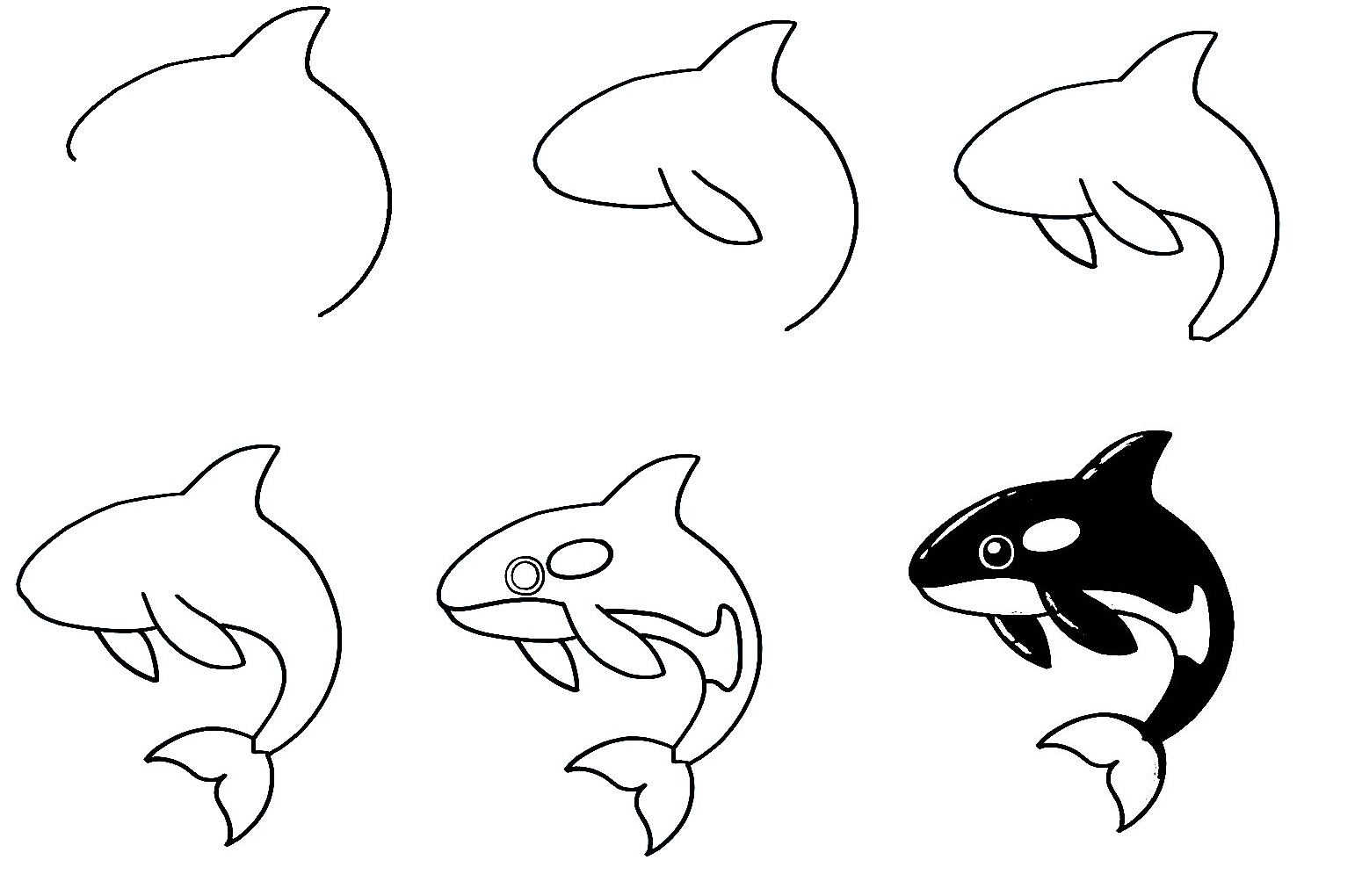 Orca-Drawing