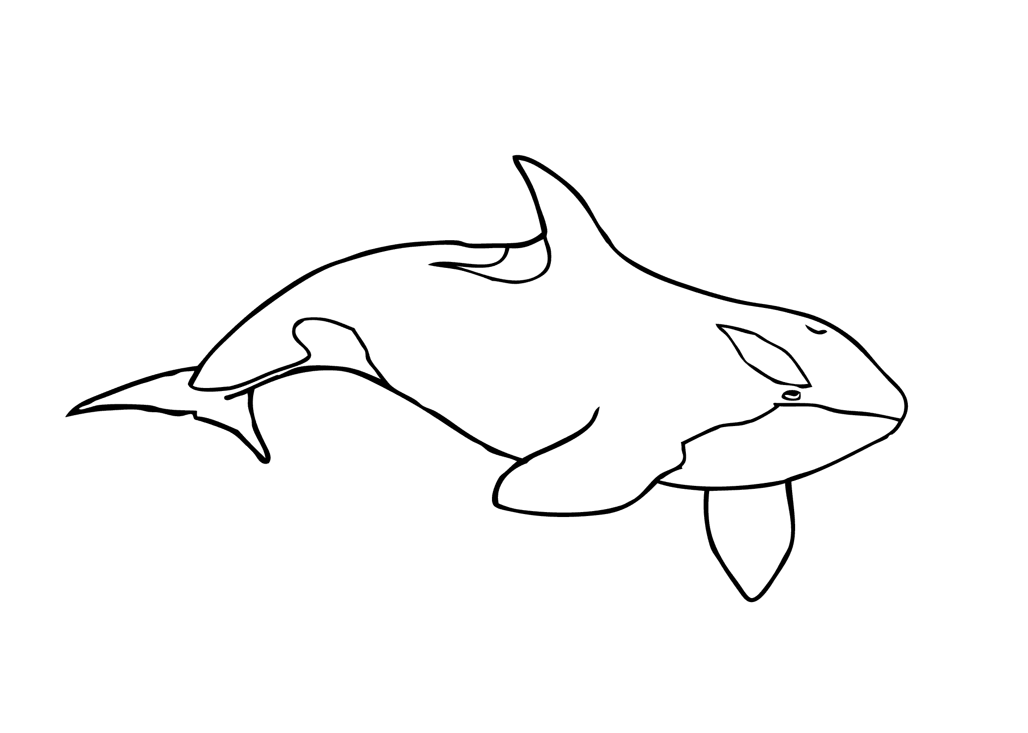 Orca Whale coloring page