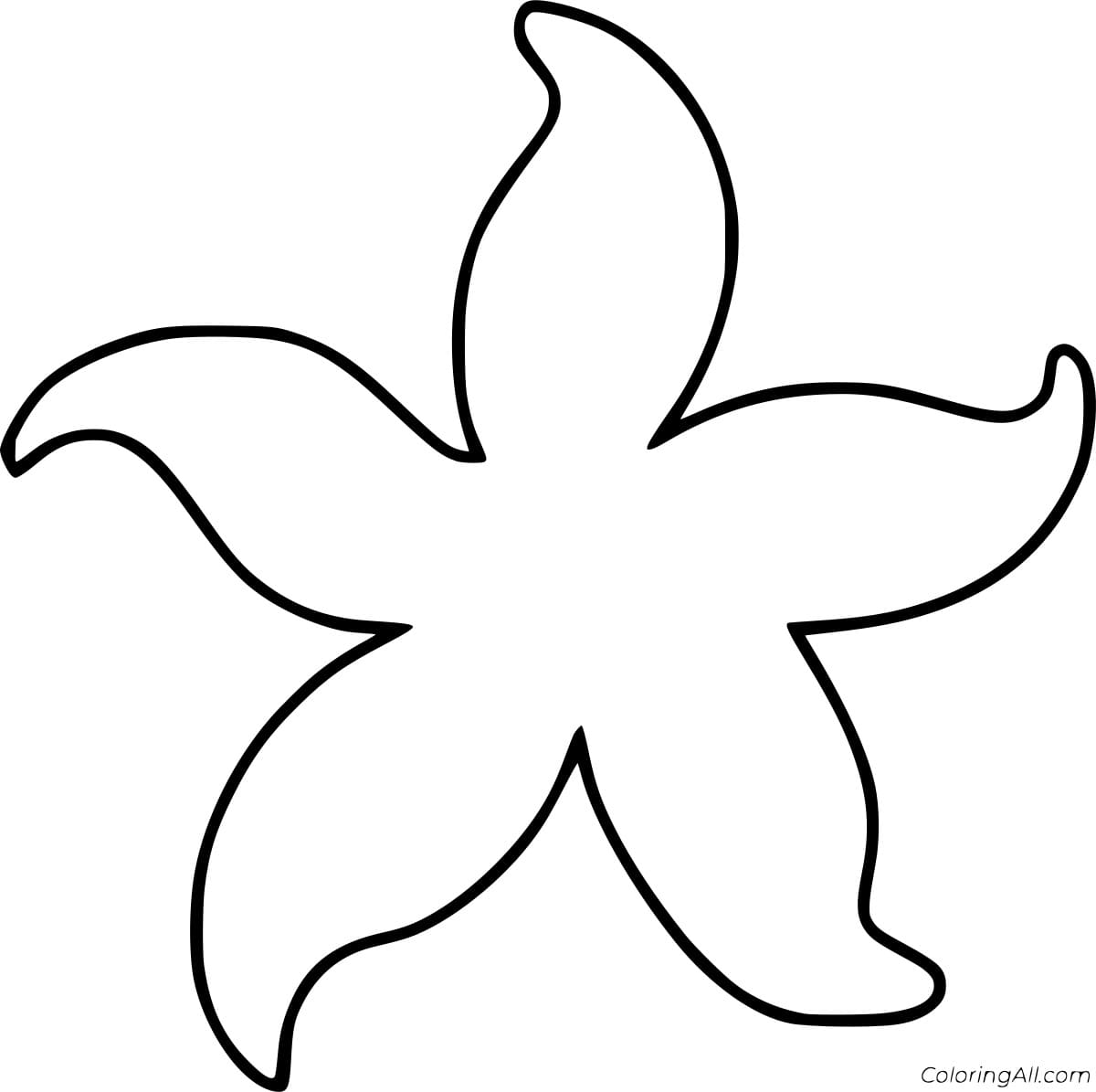 Outline Sea Star Image Coloring Page